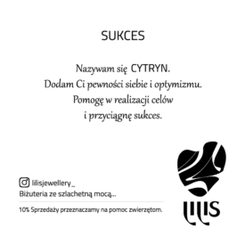 LILIS 26 moce_DRUK-05 2