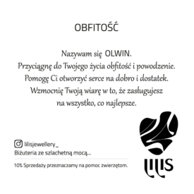 LILIS 26 moce_DRUK-16 2